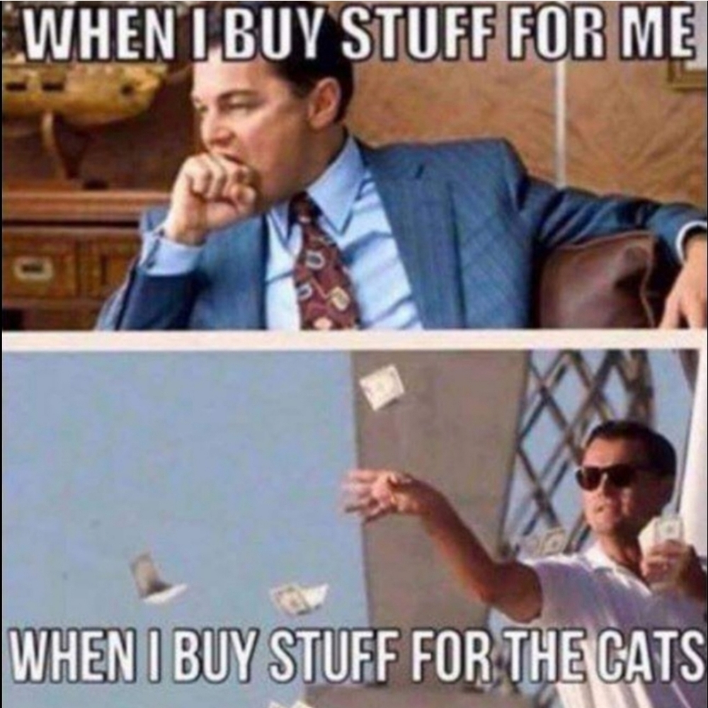 😹